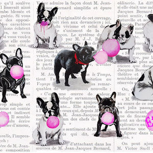 Meet your Posher, Mia